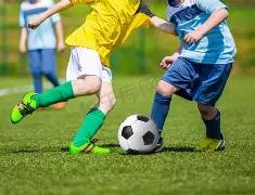 曼城狂热粉,丝怒斥,瓜迪奥拉应,开云体育,开云体育官网,开云体育app,开云体育平台,KAIYUN,SPORTS,kaiyun登录入口