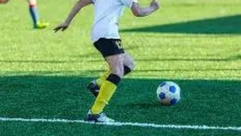 开云体育app功能 产品 133950 gwl