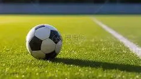 开云体育app功能 资讯 133703 jkp