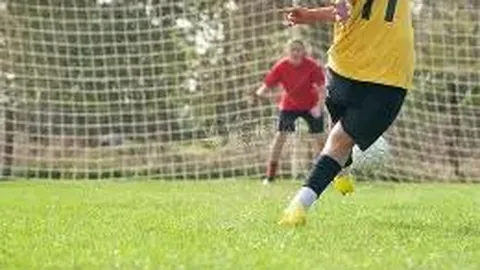 岁月流转，他们依旧携手游玩……